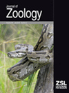 JOURNAL OF ZOOLOGY封面